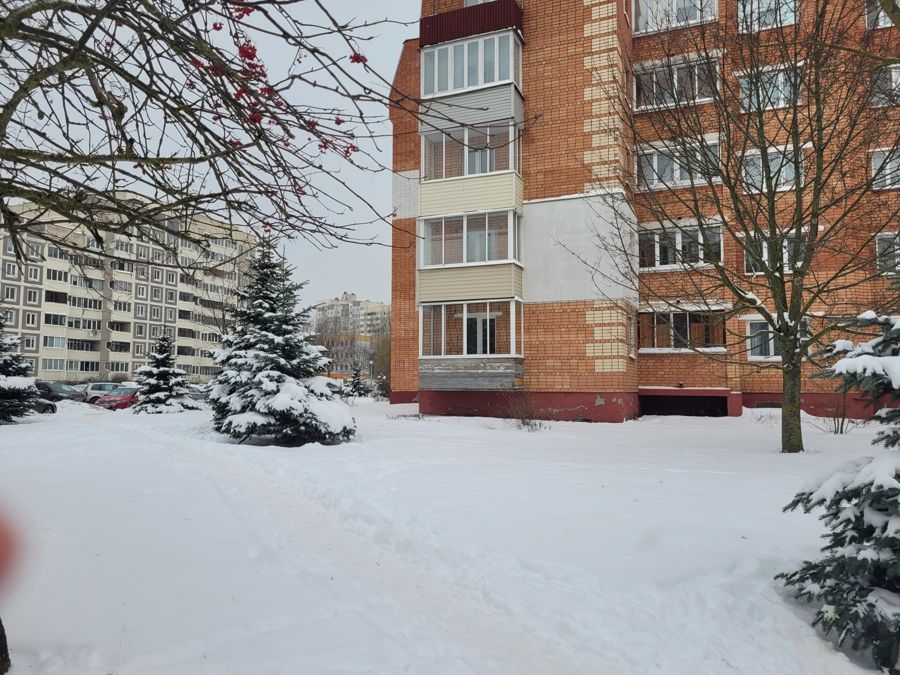 Зимний двор. Заснеженные ели у кирпичного жилого дома.